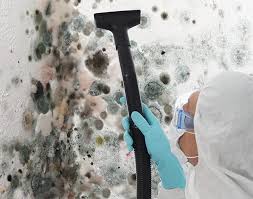 Best Mold Damage Restoration  in Brookhaven, GA